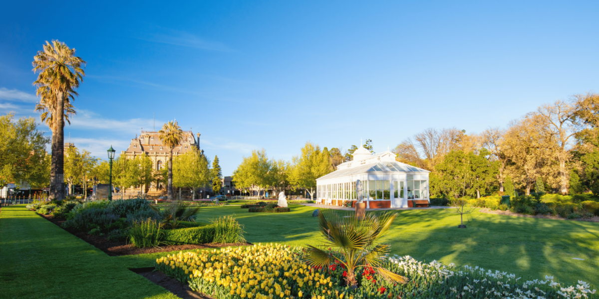 Embracing Nature and Golden Afternoons in the Heart of Bendigo